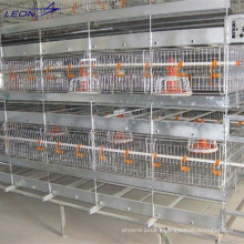 Leon series chicken farm cage feeding equipment